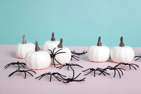 Mini pumpkins surrounded by an infestation of spiders on a pink background .. Stock Photos