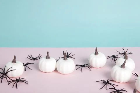 Mini pumpkins surrounded by an infestation of spiders on a pink background .. Stock Photos