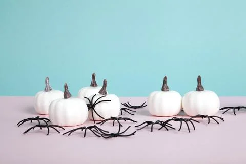 Mini pumpkins surrounded by an infestation of spiders on a pink background .. Stock Photos