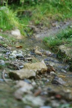 Mini river with pebbles Fotos de archivo