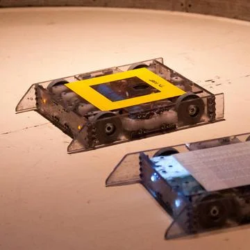 Mini robot wars mini robot wars indoors by a human controllers Copyright: ... 스톡 사진