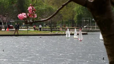 Mini Sailboat with Cherry Blossoms 库存影片 10886483