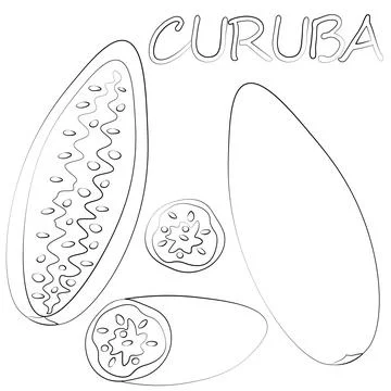 Mini set with exotic fruit curuba. Draw illustration in black and white Illustrazione stock