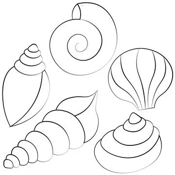 Mini set Seashells. Draw illustration in black and white Stock Illustration