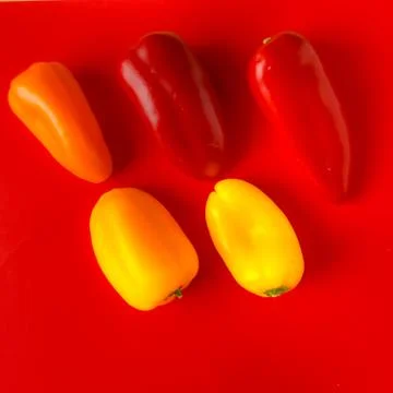 Mini size sweet pepper Stock-Fotos