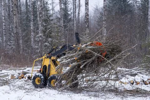 Mini skid steer with grapple full of wooden branches Stock Photos