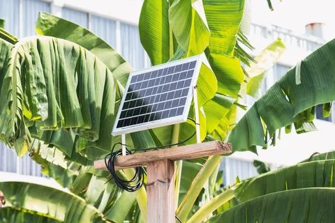 Mini solar cell panel on a wooden pole against the background of palm branche Stock Photos