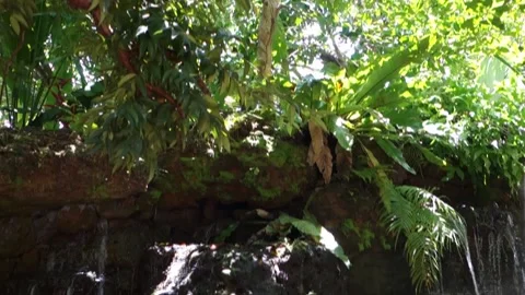 A mini stream waterfall scene Stock Footage 136236610
