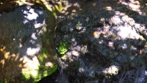 A mini stream waterfall scene Stock Footage 136242042