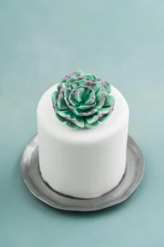 Mini succulent wedding cake Stock Photos
