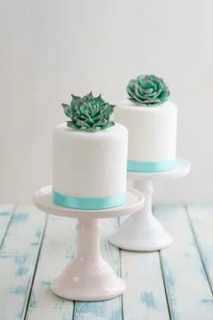 Mini succulent wedding cakes Stock Photos