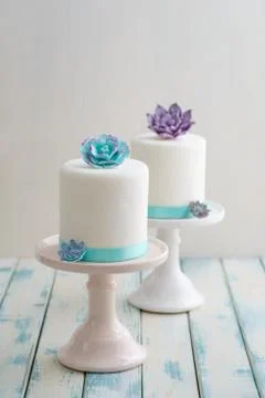 Mini succulent wedding cakes Stock Photos