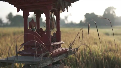 Mini temple on the ricefield in bali Stock Footage 143128779