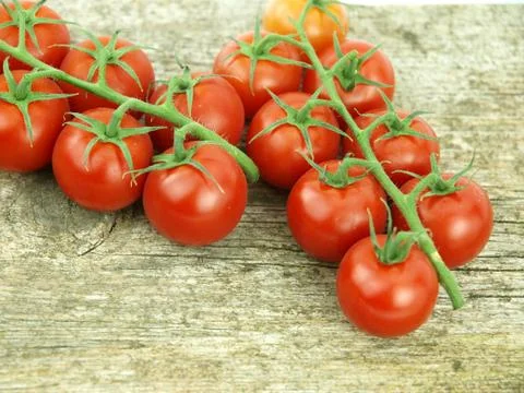 Mini tomatoes Stock Photos