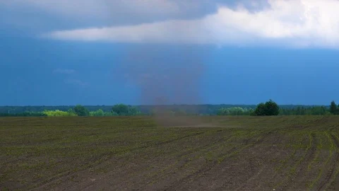 Mini tornado in the field Stock Footage 77041748