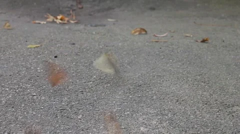 Mini tornado Stock Footage 42455482