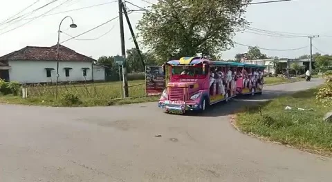 Mini train Stock Footage 236615514