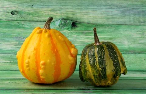 Mini warty pumpkin on green background Foto stock