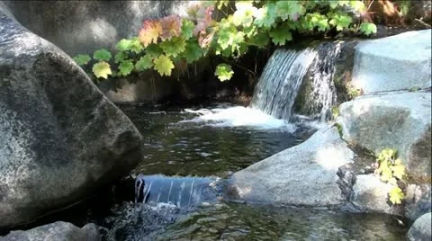Mini Waterfall and Pools in Mountain Creek Vídeo Stock 12385023
