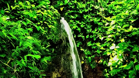 Mini waterfall and some green plants in the background Stock Footage 237954875
