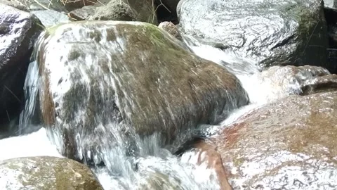 Mini Waterfall Flowing Into Clear Stream | Tropical Nature Close-Up Stock Footage 330546832