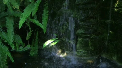 Mini Waterfall Stock Footage 283499