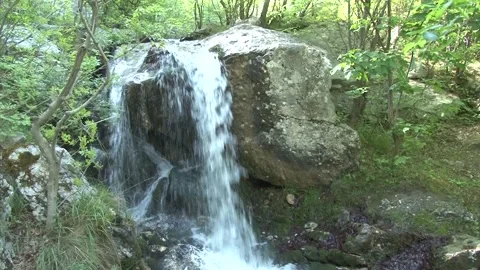 Mini waterfall in the forest Stock Footage 140915168