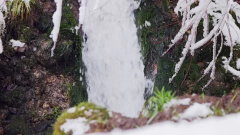 Mini waterfall in the forest Stock Footage 231262235