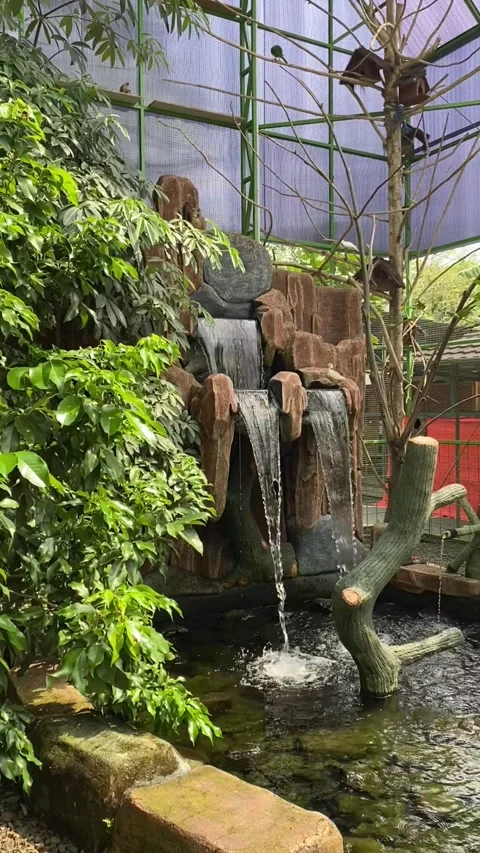 A mini waterfall inside on an aviary. Stock Footage 327253245