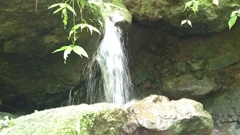 Mini Waterfall in Lush Green Forest, Calm Natural Water Flow Scene Stock Footage 330543256