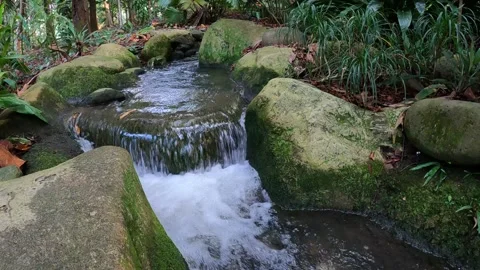 Mini waterfall in nature Stock Footage 156306438
