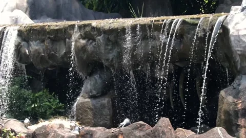 Mini waterfall in the park Stock Footage 284498874
