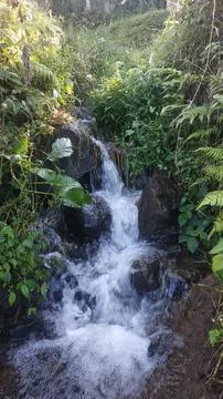 Mini waterfall 스톡 사진