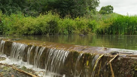 Mini waterfall from pond with Ducks swimming Stock Footage 338033837