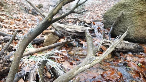 Mini waterfall river in the forest, winter in Czech Republic - 4K 50p Stock Footage 124851372