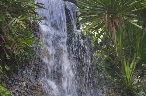 Mini waterfall. Small garden in the area of the house. Stock Photos