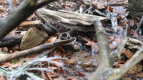 Mini waterfall, winter river in Czech Republic - 4K 50p Stock Footage 124857145