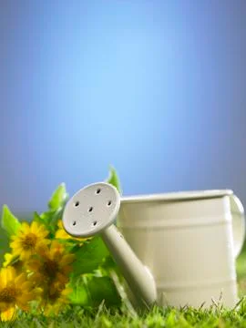 Mini watering can Stock Photos