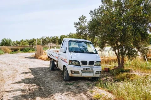 Mini white Truck Without Load outdoor near olives field 動画素材 288906115
