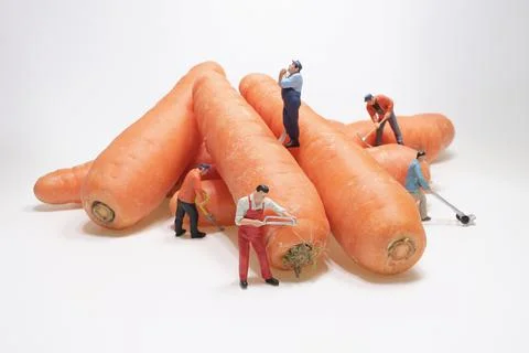 Mini worker move carrot. The concept of a collective solution to any problem. 스톡 사진