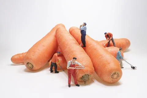 Mini worker move carrot. The concept of a collective solution to any problem. 写真素材