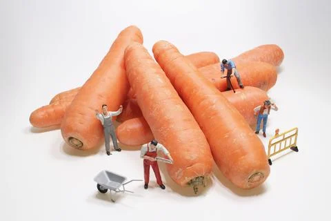 Mini worker move carrot. The concept of a collective solution to any problem. 写真素材