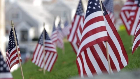 Miniature American flags planted in grass waving in breeze, day. Vídeo Stock 111022872