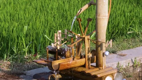 Miniature Bamboo Water Wheel Model Operating beside Lush Green Rice Paddy Fie Stock Footage 344660743