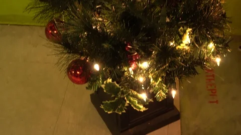 A Miniature Christmas Tree Vídeos de archivo 122244758