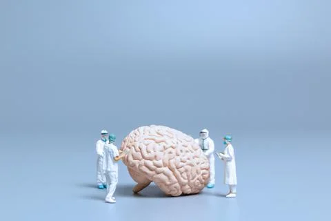 Miniature Doctor checking and analysis alzheimer's disease and dementia of .. Stock Photos