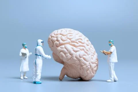 Miniature Doctor checking and analysis alzheimer's disease and dementia of .. Stock Photos