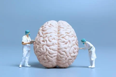 Miniature Doctor checking and analysis alzheimer's disease and dementia of .. Stock Photos
