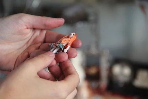 Miniature Dolls Stock Photos