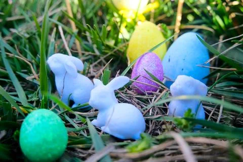 Miniature Easter Bunny and Egg Scene in the Grass Fotos Stock
